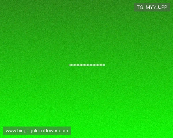 巴西队长领衔世界杯战术布局揭示球队崛起背后战略秘诀